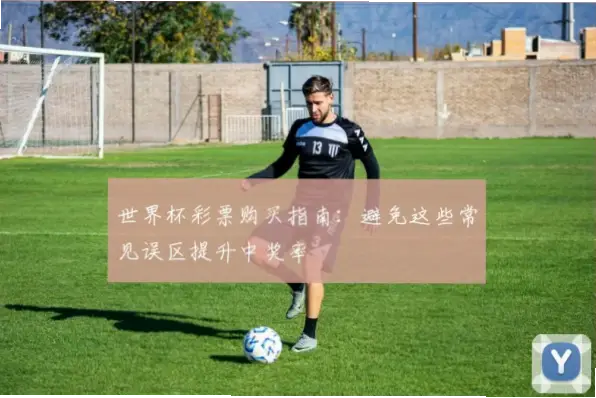 体育彩票世界杯怎么买？避免常见误区